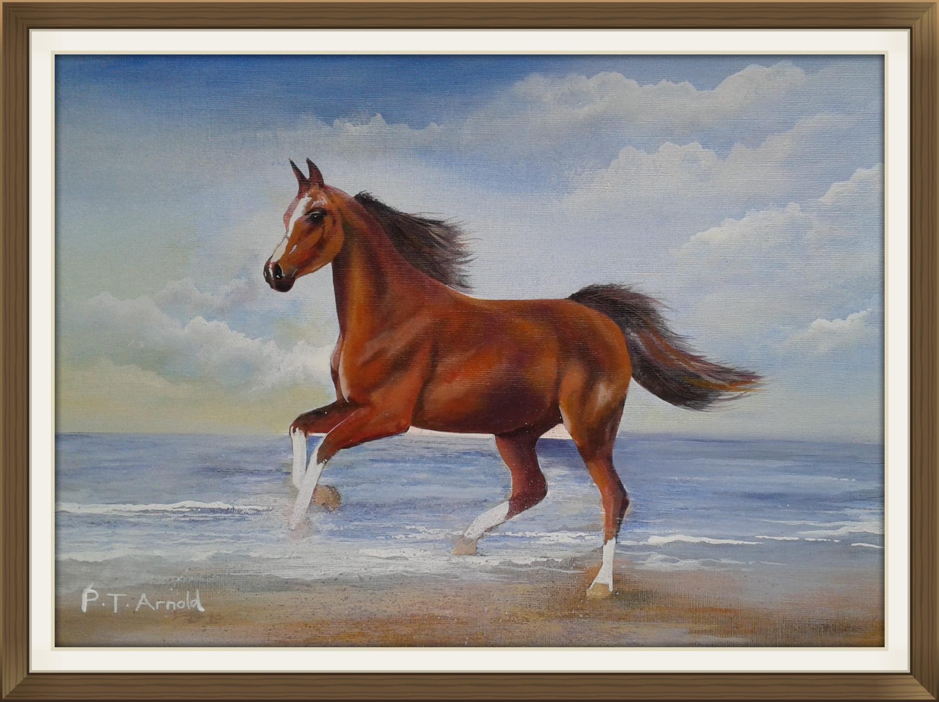 Peter Arnold PaintingsArtist based in Coleshill, Warwickshire.